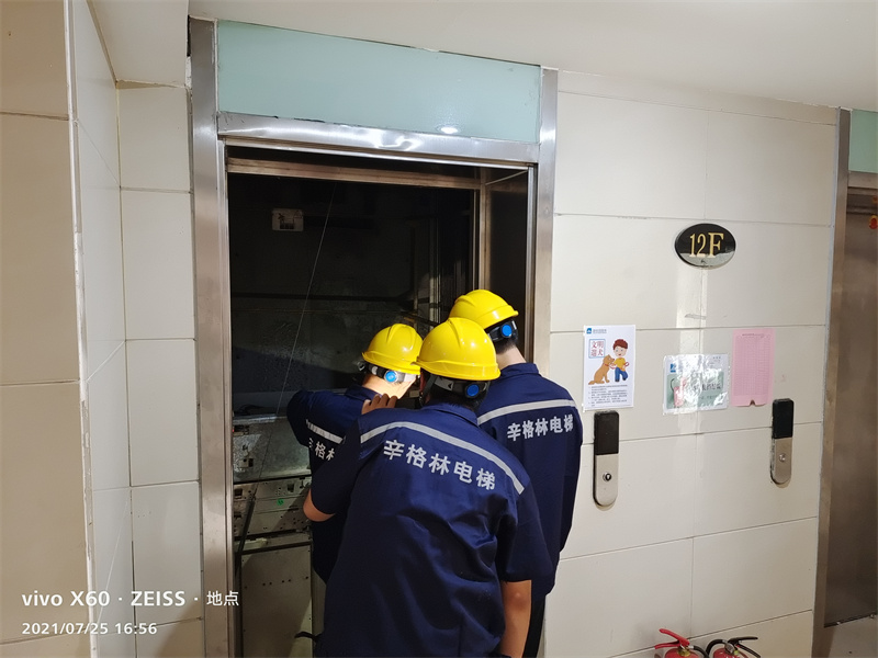 廣東家用電梯什么品牌最好，選辛格林自然不出錯