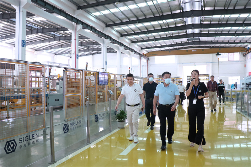 別墅家用電梯常用品牌較好？辛格林電梯是超好！