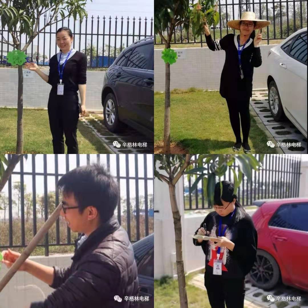 芒果樹認領儀式